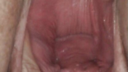 Mô hình đúc xem pim séc Lori