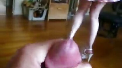 Gà pim secnhat tuyệt đẹp